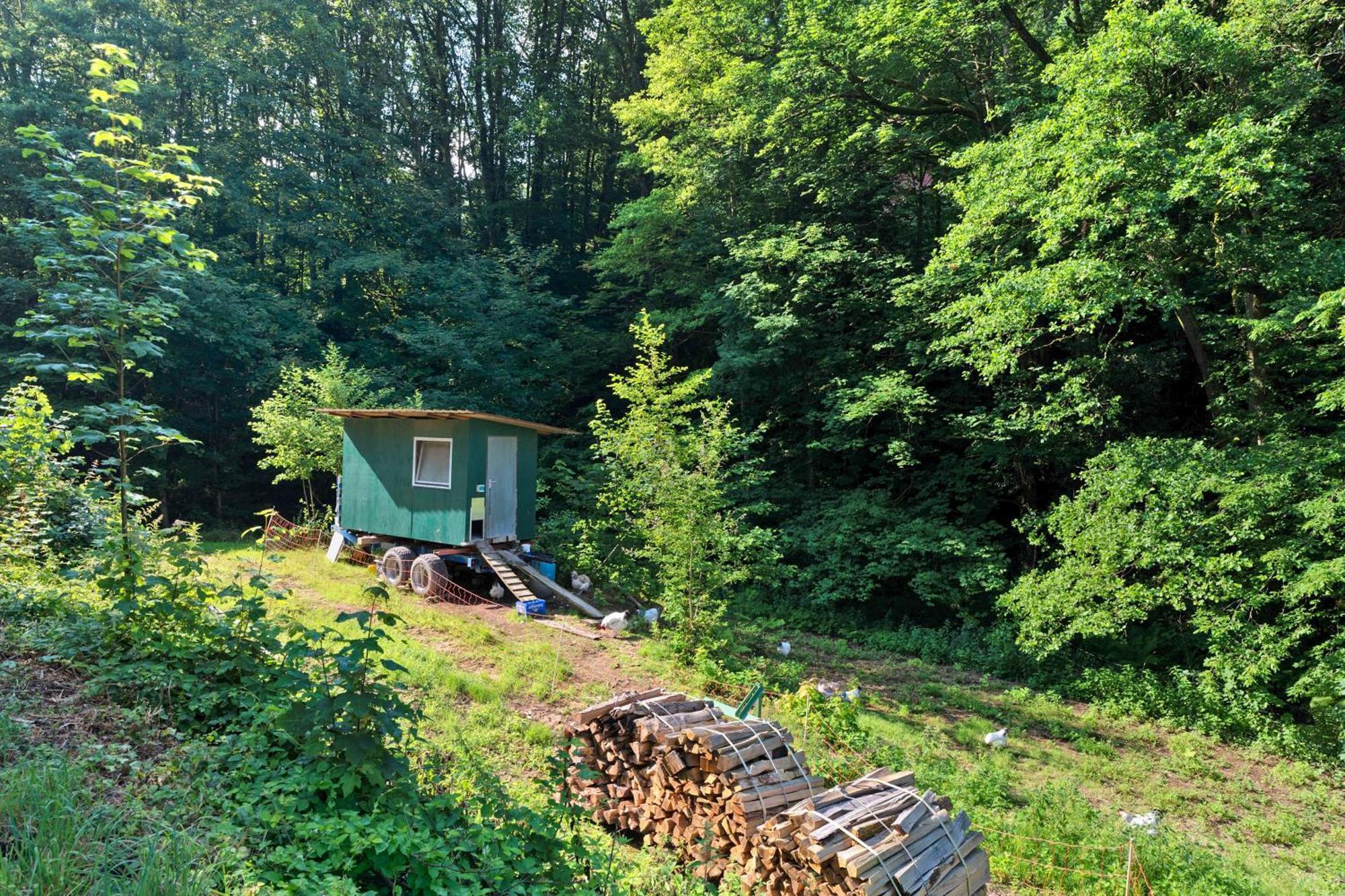 Ferienwohnung Am Hirschfelsen Бюлерталь Экстерьер фото